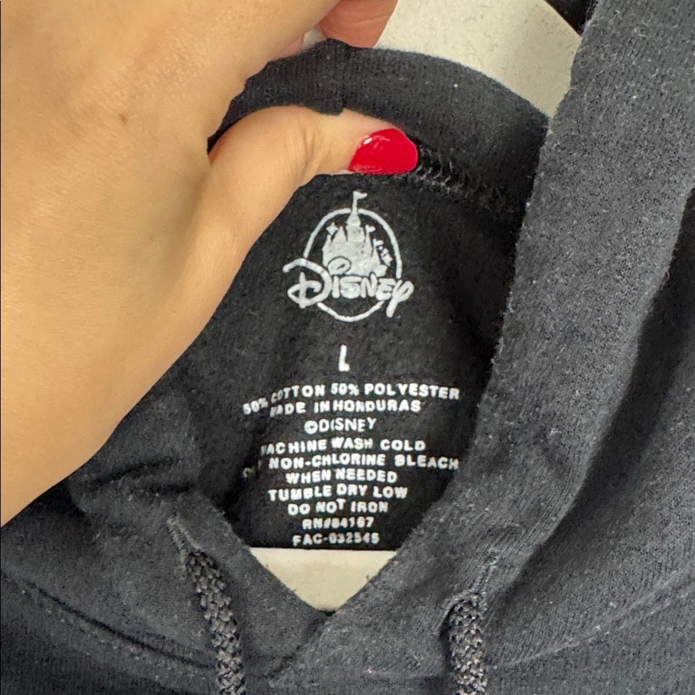 Walt Disney World EPCOT Merch Luminous Symphony Hoodie Pullover Sweatshirt Large - Picture 5 of 5